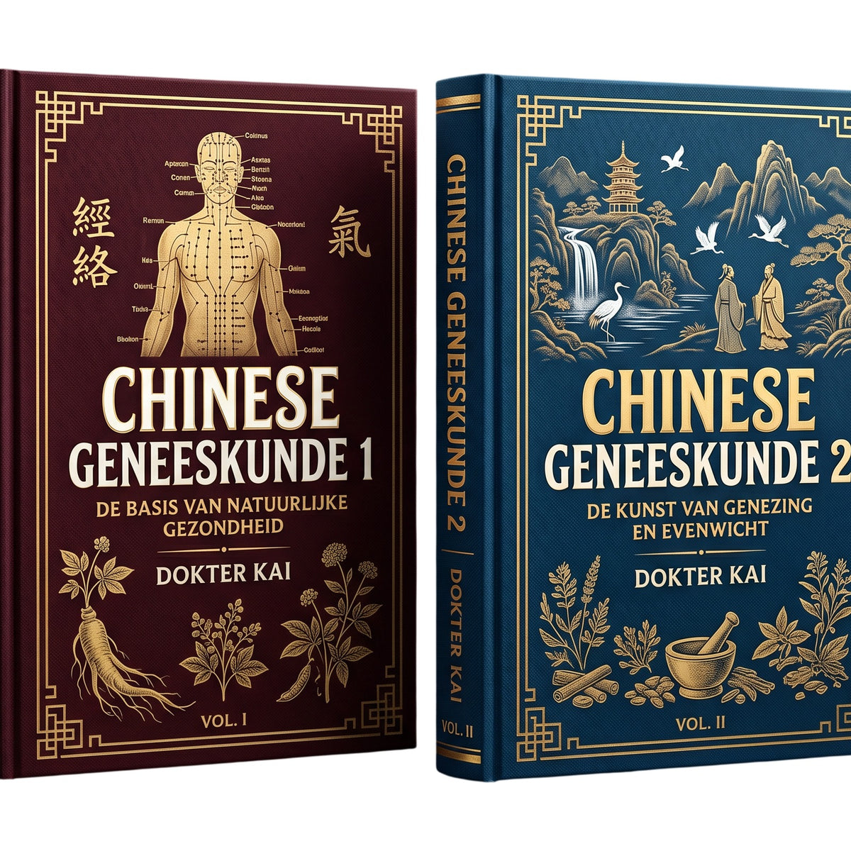 Chinese Geneeskunde — Dokter Kai